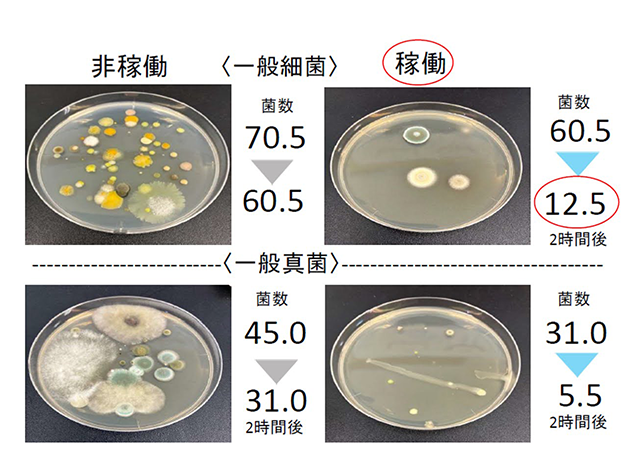 鮮度保持技術